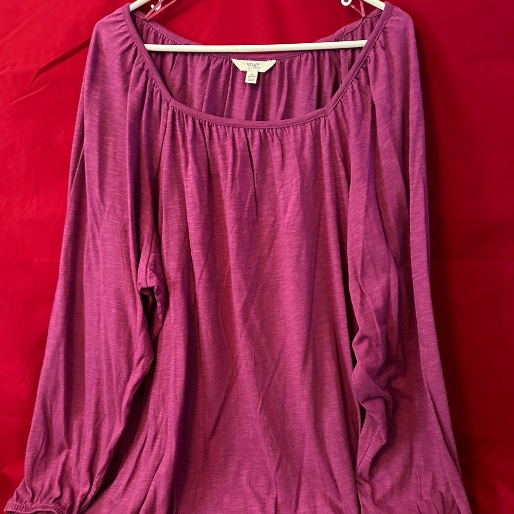 Ladies top